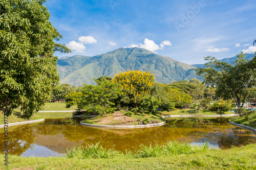 View of Parque del Este with El Avila at the background  Caracas - Venezuela