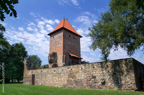 Obraz na płótnie chudow castle in Poland silesian region w salonie