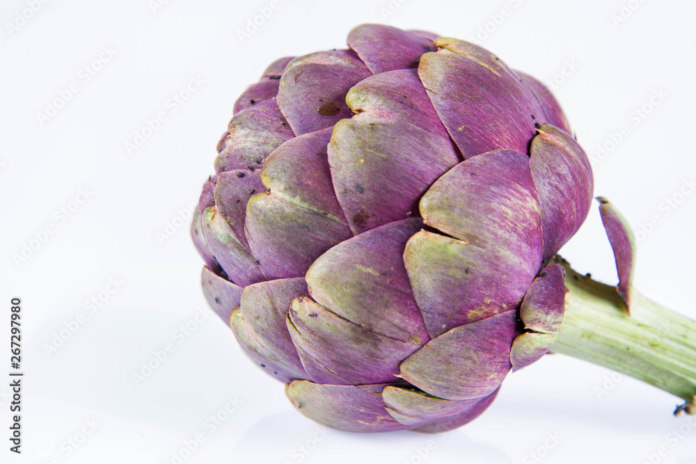 Obraz premium A single artichoke flower on a white background