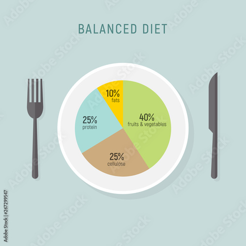 Healthy diet food, balance nutrition plate. Vector health meal chart infographic, diet plan concept
