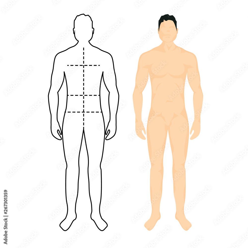 Man anatomy silhouette size. Human body full measure male figure waist,  chest chart template Stock Vector