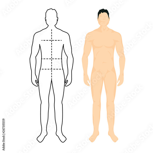 Man anatomy silhouette size. Human body full measure male figure waist, chest chart template