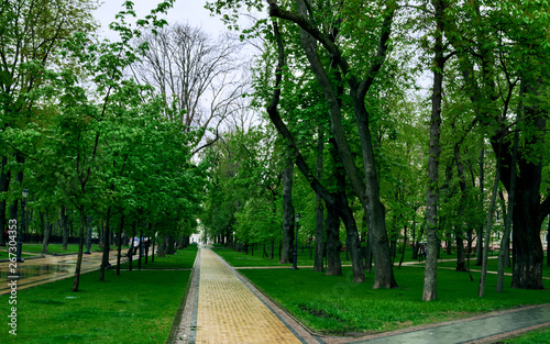 Photography walking paths in the park, benches for rest, and green trees