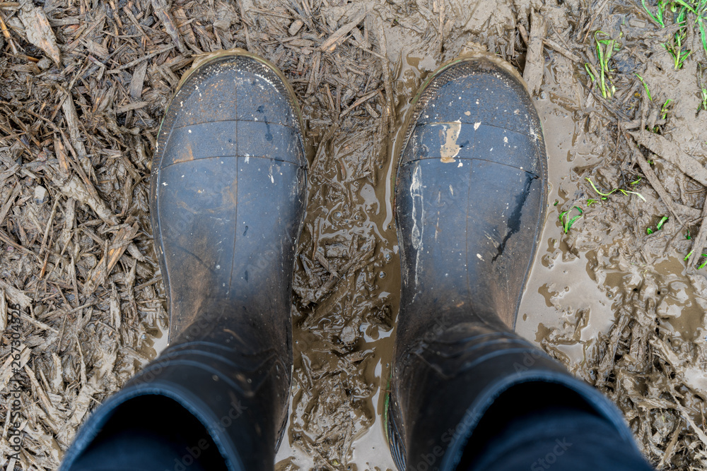 Foto de Looking down at black rubber boots on a muddy farm pathway ...