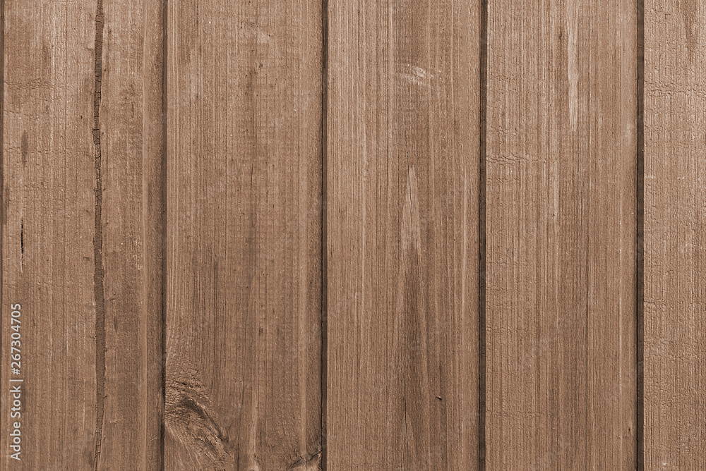 Obraz premium Grunge wood panels planks Background Old wall
