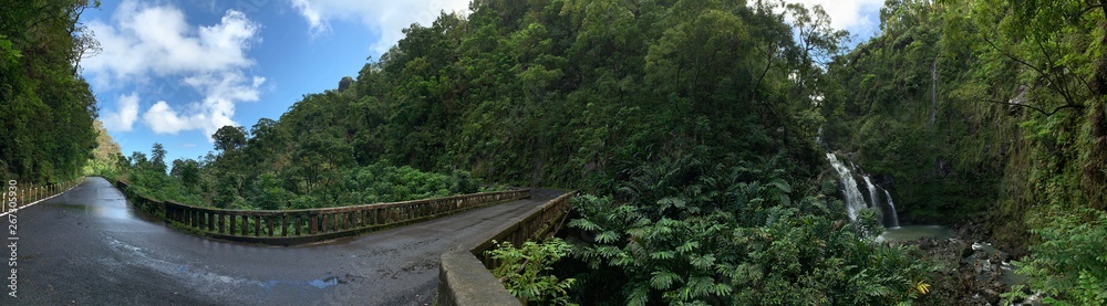 Hana Jungle Falls Panorama