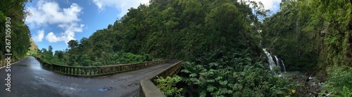 Hana Jungle Falls Panorama
