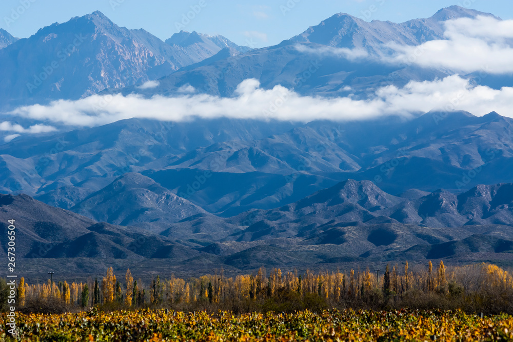 Andes mountains. Mountain landscape in vineyards with the mountain range in the background.