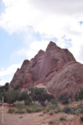 Arches National Park  Utah. U.S.A. Beautiful pinyon and juniper pine trees