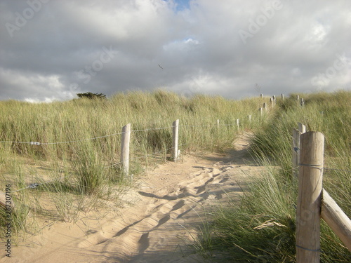dunes de l'Ile Besnard (35)