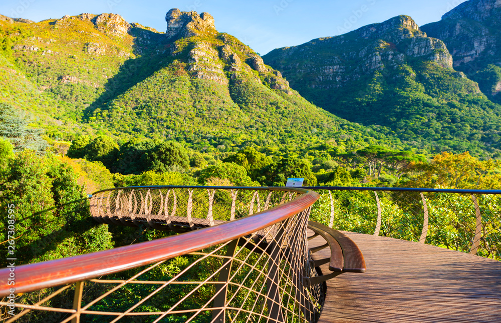 Kirstenbosch National Botanical Garden in Cape Town, South Africa Stock