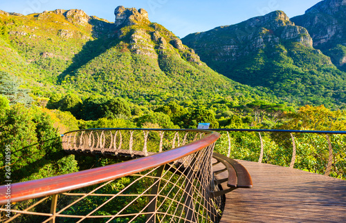 Kirstenbosch National Botanical Garden in Cape Town, South Africa