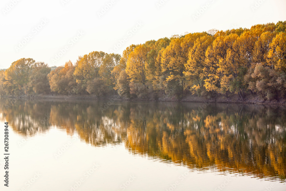 fall scenery with trees growing along the river 