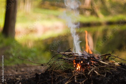 A smoke over fireplace on the riverbank out in the forest. © Sergey
