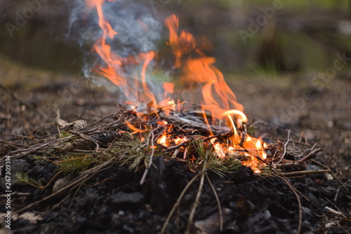 A bonfire from last years dry branches and old bark flares up on the ground.