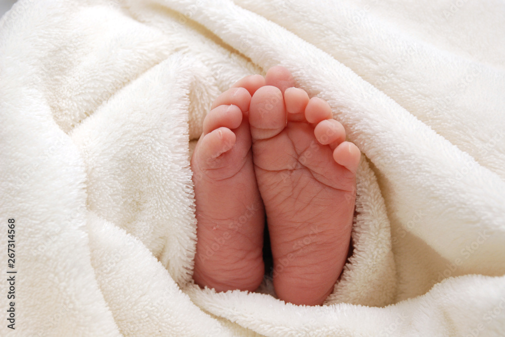 feet of newborn baby Stock Photo | Adobe Stock