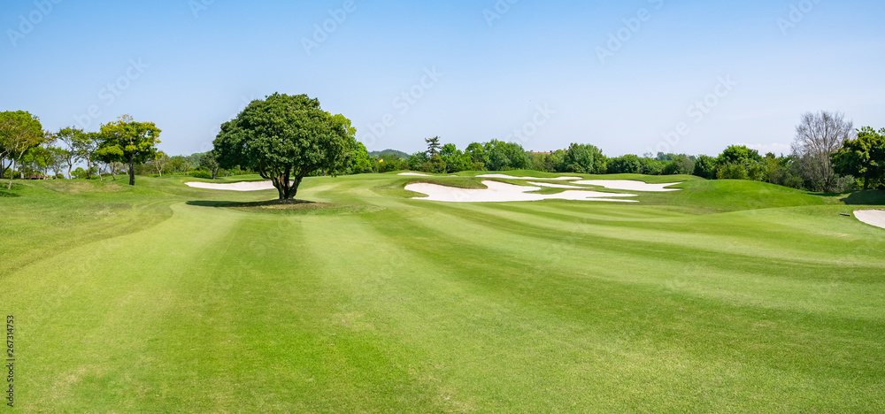 Obraz premium ゴルフ場 フェアウェイ