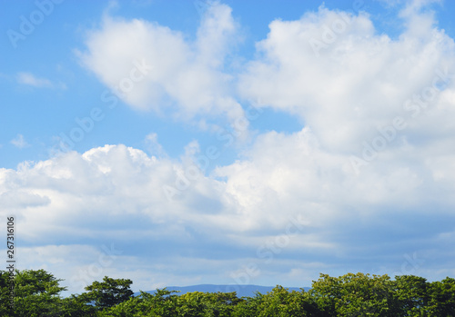 木 山 空 雲 素材