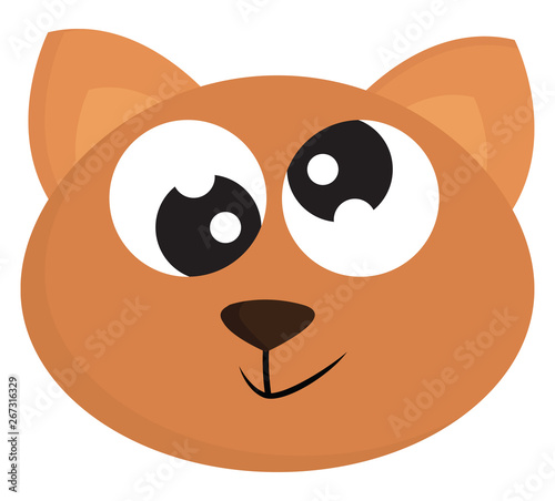 Crazy cat , vector or color illustration