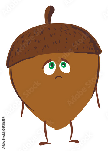 Sad acron nut , vector or color illustration