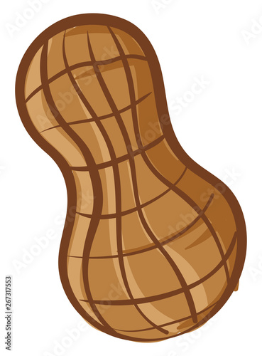 Clipart of a single and cute brown peanut over white background, vector or color illustration