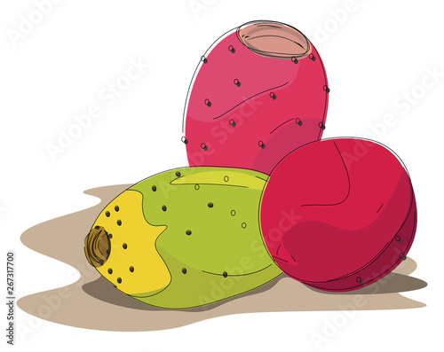 Clipart of the prickly pear fruits in red and green colors, vector or color illustration
