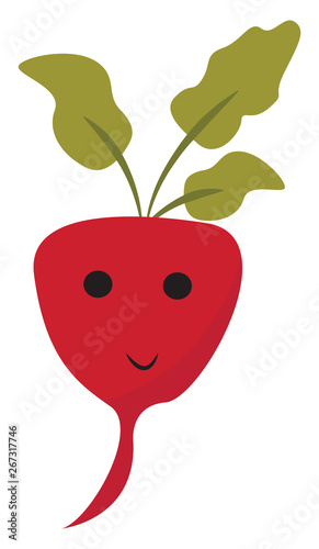 Emoji of a smiling radish/Cartoon radish set isolated on white background viewed from the front, vector or color illustration