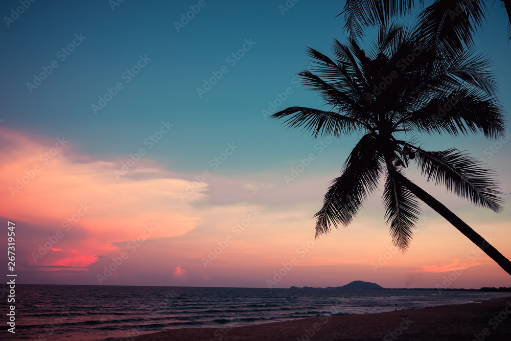 Silhouette of tropical beach during sunset twilight. seascape of summer beach and palm tree at sunset. vintage color tone