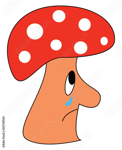Crying fly agaric, vector or color illustration.