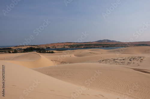 beautiful white sand dune on sunset background