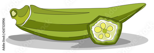 Okra, vector or color illustration.
