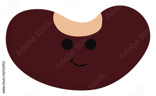 Image of bean, vector or color illustration.