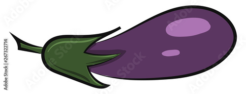 Image of eggplant, vector or color illustration.