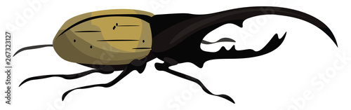 Hercules beetle, vector or color illustration.