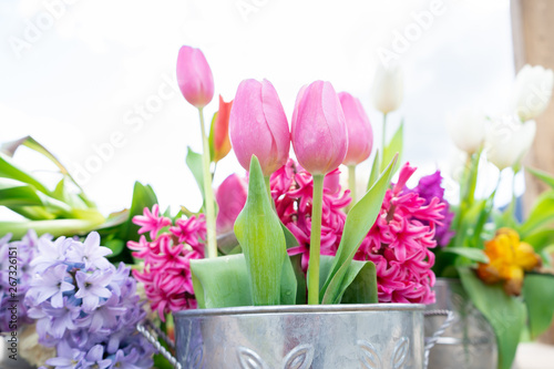Close up view of a flower arrangement of tulips and other flowers in a vintage tin can, with very bright daylight and a white background.