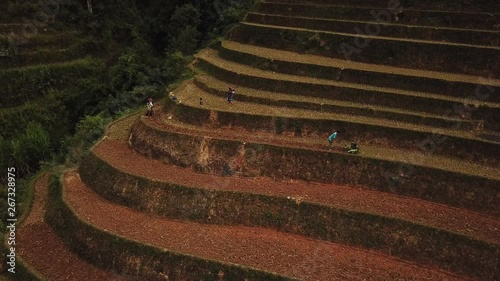 aerial tilt down drone moving backwards shot of asian people working on rice fields, rice teraces , Vietnam photo