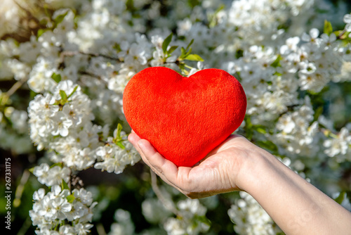 Girl holding a heart on a background of cherry blossoms