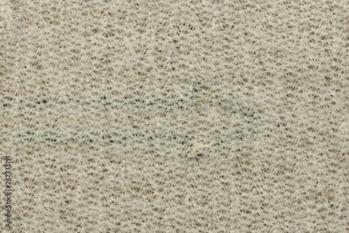 Wallpaper Mural Macro image of sandpaper textures Torontodigital.ca