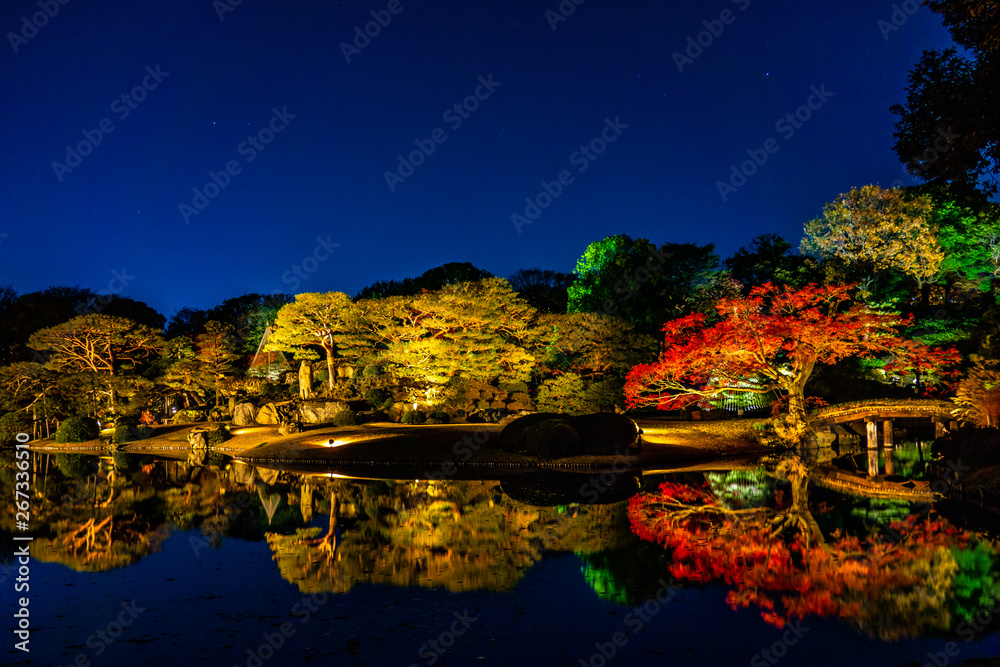 Tokyo, Japan - December 5, 2017: illumination at Japanese garden in autumn color