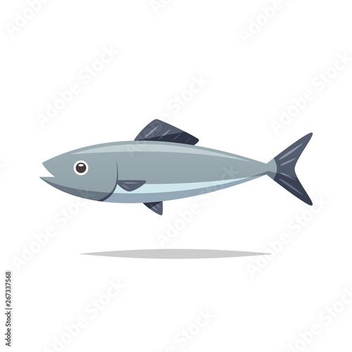 Fish vector isolated illustration