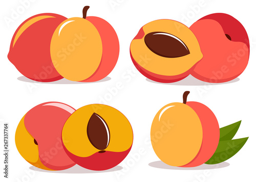 vector peaches on white background