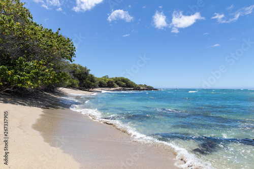 Fototapeta Naklejka Na Ścianę i Meble -  Yellow sand beach and turquoise ocean water with reef seen in the water. Big Island, Island of Hawaii