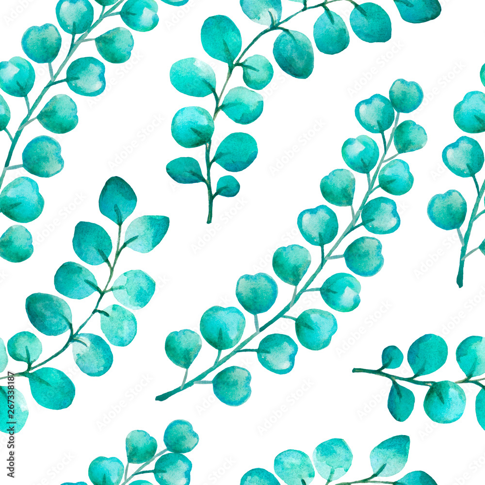 Watercolor hand painted   eucalyptus pattern. 