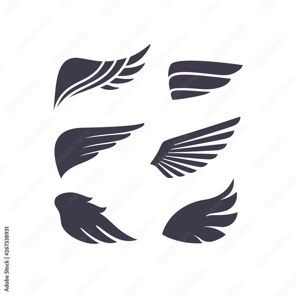 Set of Different Vector Wings Shapes Isolated on White Background. Bird