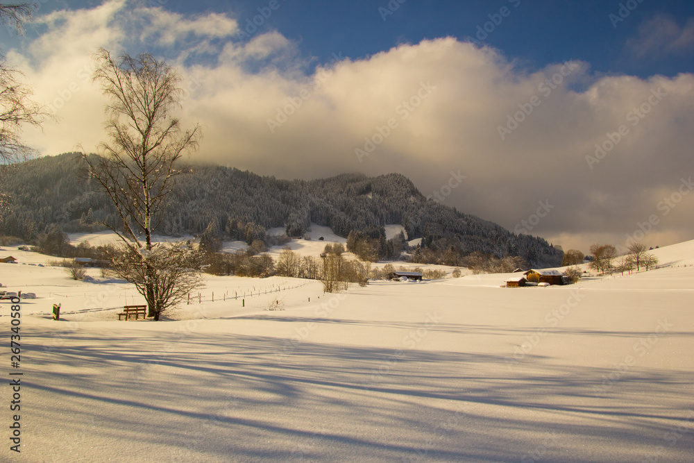 verschneite winterliche Landschaft im Allgäu