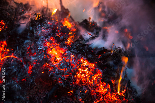 Bonfire. Close-up