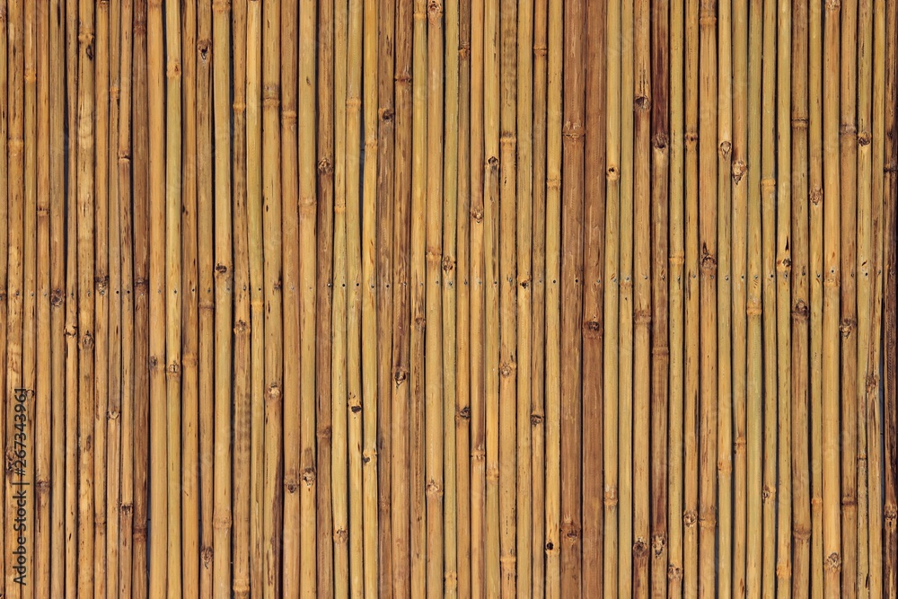 texture of bamboo texture of bamboo