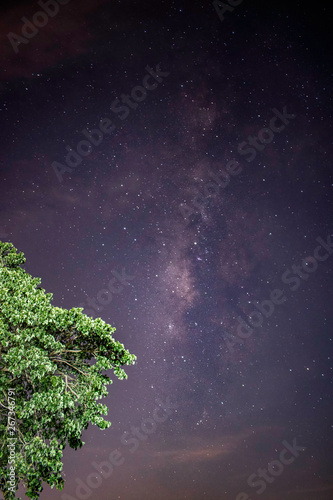 Milky way galaxy with stars and space dust in terraced rice field. (Visible noise due to high ISO, soft focus, shallow DOF, slight motion blur)