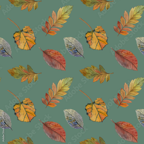 Seamless watercolor pattern. A set of leaves for design. Watercolor painted autumn leaves. Design element. Elegant leaves for art design.