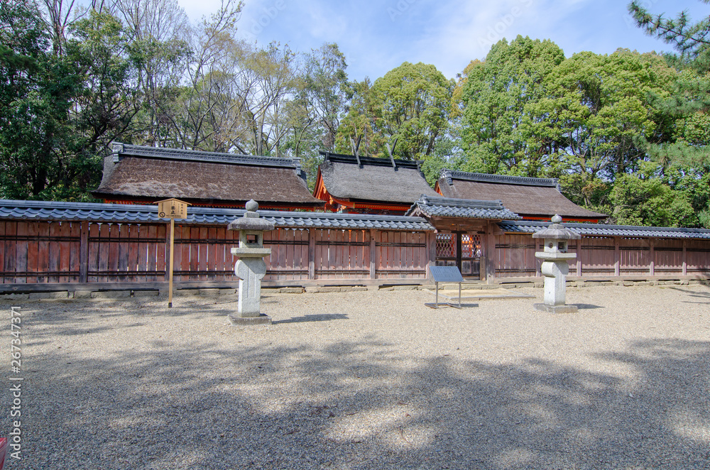 京都 仁和寺 京都 仁和寺